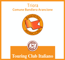 Bandiere Arancioni