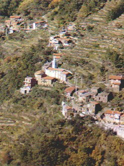 Cetta
