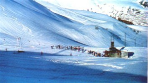 Monesi