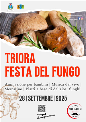 Festa del Fungo